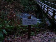 Silver Falls 12.10.05 054 